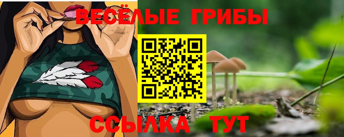 Новоалтайск  Галлюциногенные грибы мухоморы  Вход с VPN 